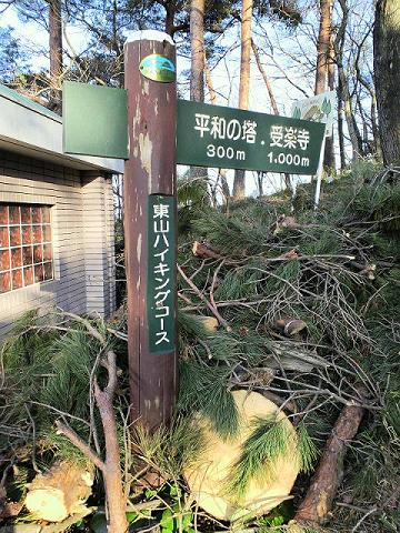 案内板