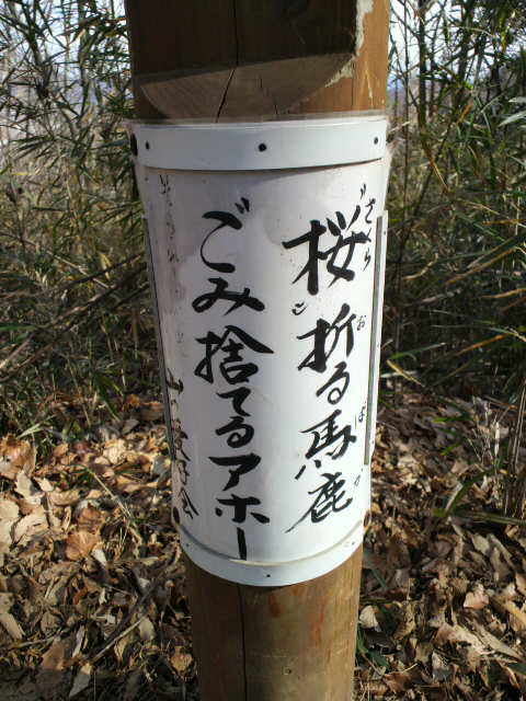 桜折る馬鹿、ごみ捨てるアホー