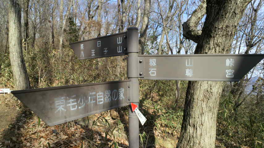 案内板z462